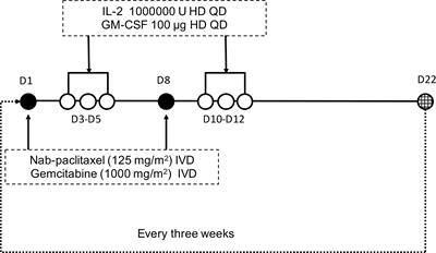 AGIG Chemo-Immunotherapy in Patients With Advanced Pancreatic Cancer: A Single-Arm, Single-Center, Phase 2 Study